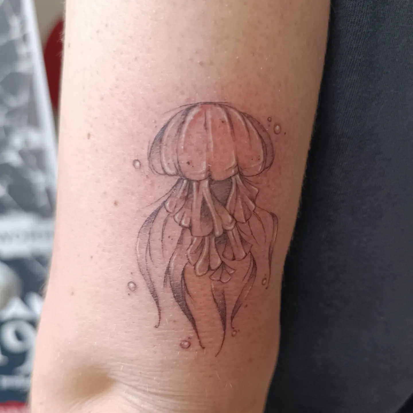 Tatouage fine line d’une méduse à l’encre noire, sur l’intérieur du bras, par Sophie Guiot