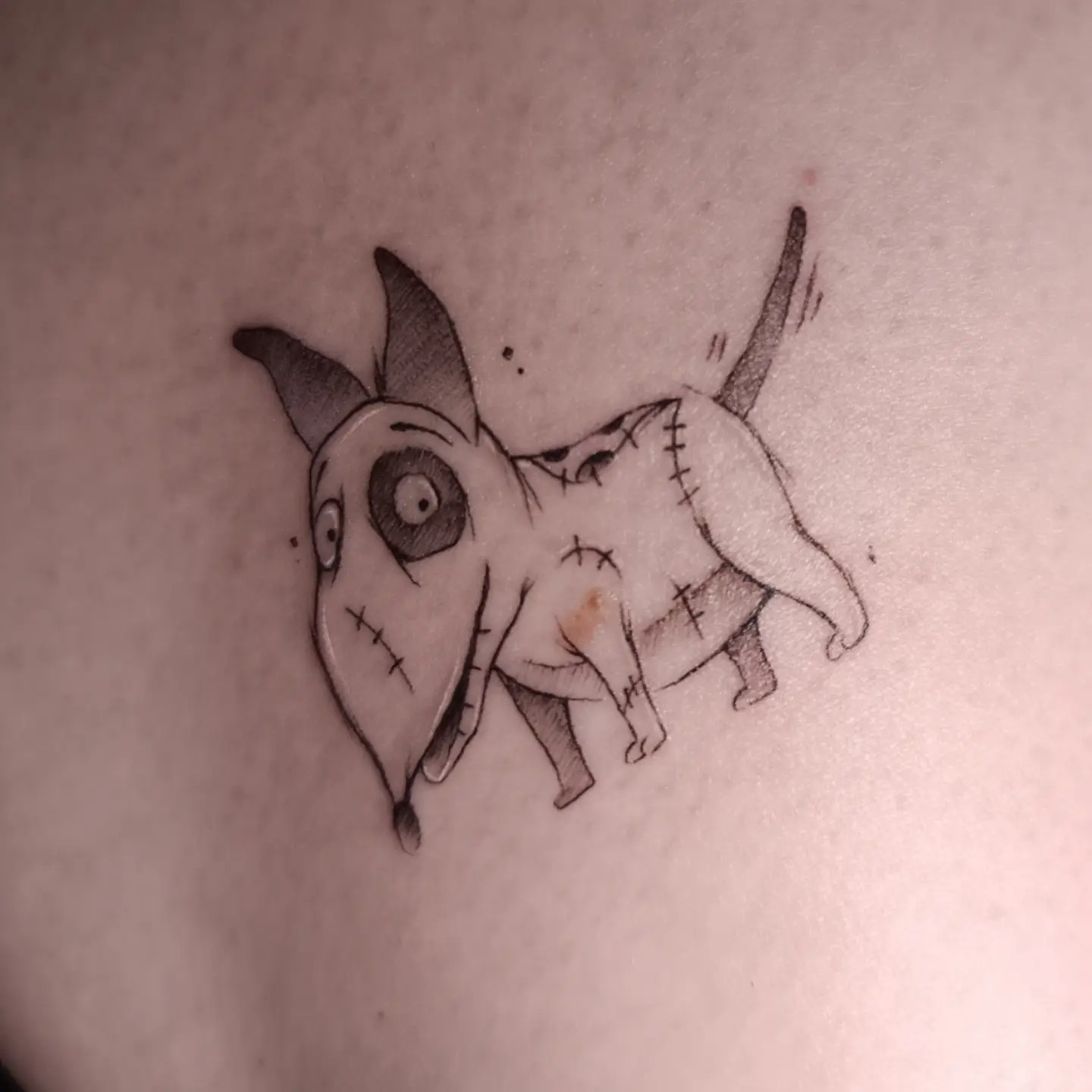 Tatouage fine line d’un chien et d’un chat façon Frankenweenie, motifs cousus, par Sophie Guiot